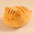 橘猫