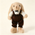 A Letter from Rabbit Island