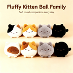 The fluffy cat family of Tuanzi