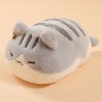 The fluffy cat family of Tuanzi